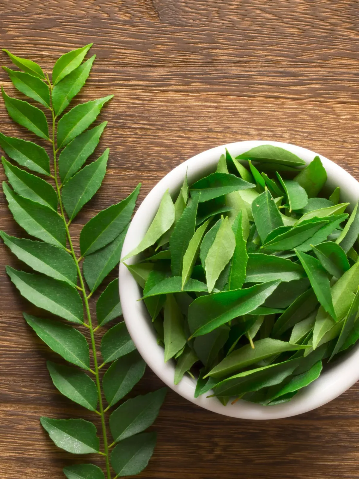 A sprig of fresh curry leaves